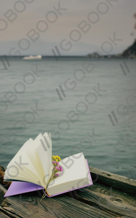 海邊書櫃