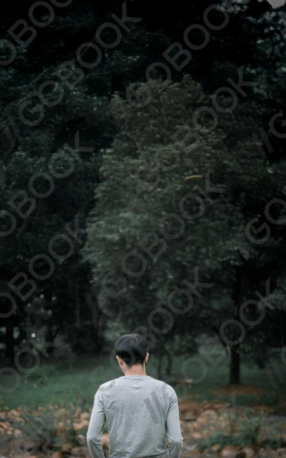 雨林散步