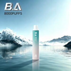 B.A BAR2拋棄式一次性8000口