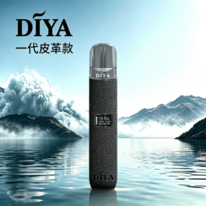 叮啞DIYA皮革主機| 顯示屏| 2擋調節
