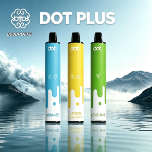 DOTPLUS 8000PUFFS 佩特里一次性可充電