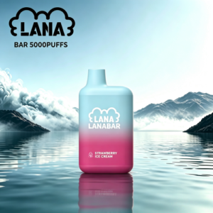 LANA BAR5000PUFFS|一次性可充電