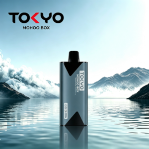 TOKYO Mohoo Box 東京魔盒主機