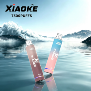 XIAOKE 梟客7500口| 大容量一次性可充電
