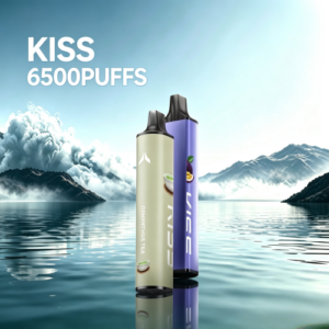 KISS凱斯6500口一次性